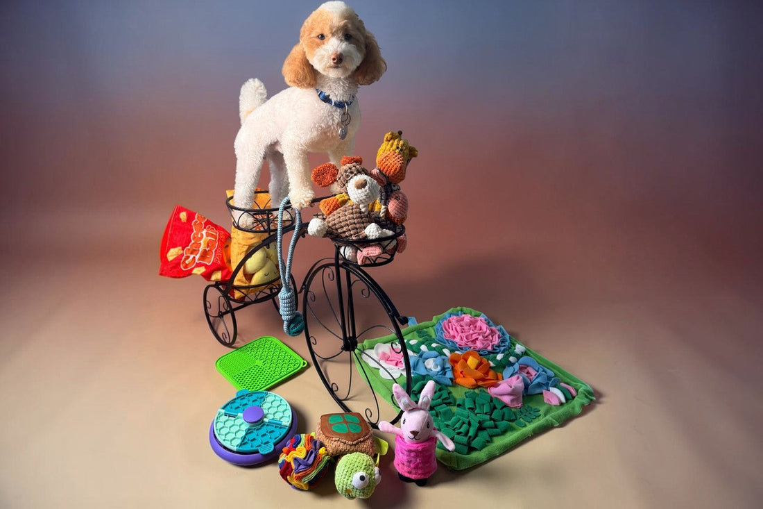 Best Snuffle Toys for Dogs: What They Are and Why Your Dog Needs One