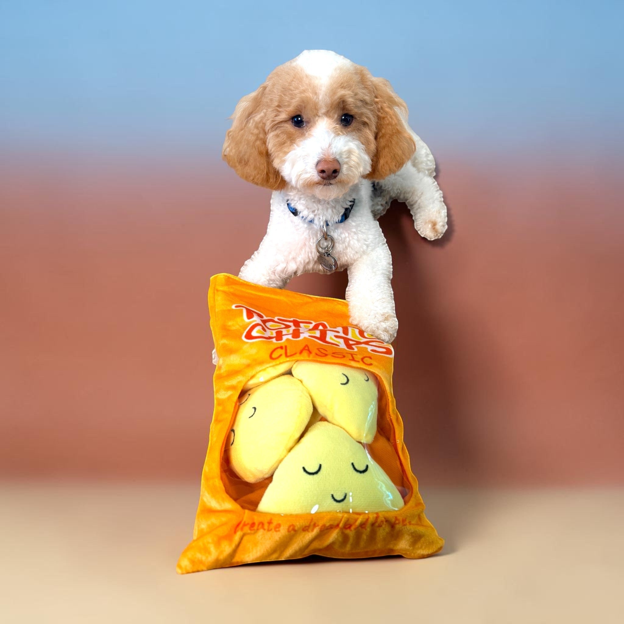 FurSniff Chips Bag Snuffle Toy Set with plush potato toys inside. Features crinkle sound and squeakers.