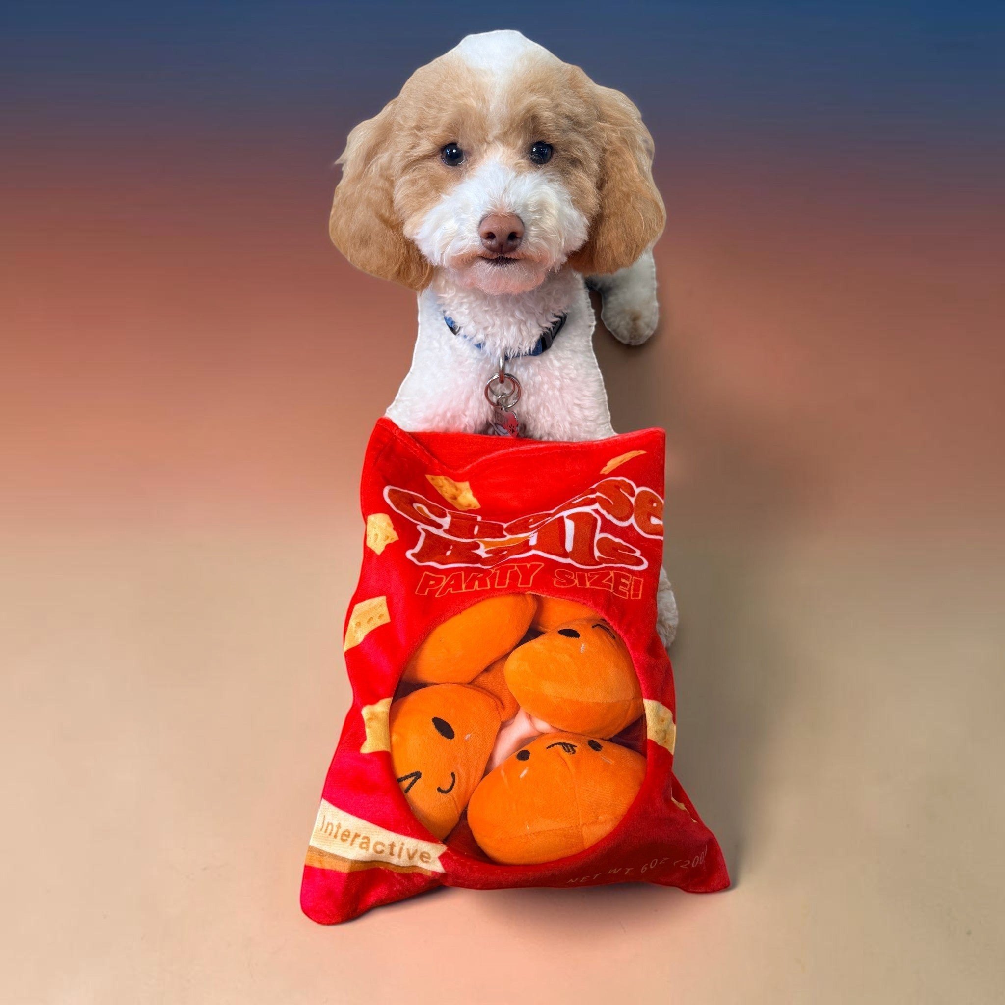 FurSniff Cheese Bag Snuffle Toy Set with plush cheese toys inside, crinkles and squeaks for interactive play.