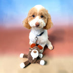 FurSniff brown corduroy dog toy with white accents and squeaker, next to a white and tan poodle dog.