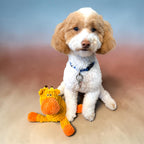 FurSniff yellow and orange plush squeaky giraffe dog toy with corduroy-style fabric.