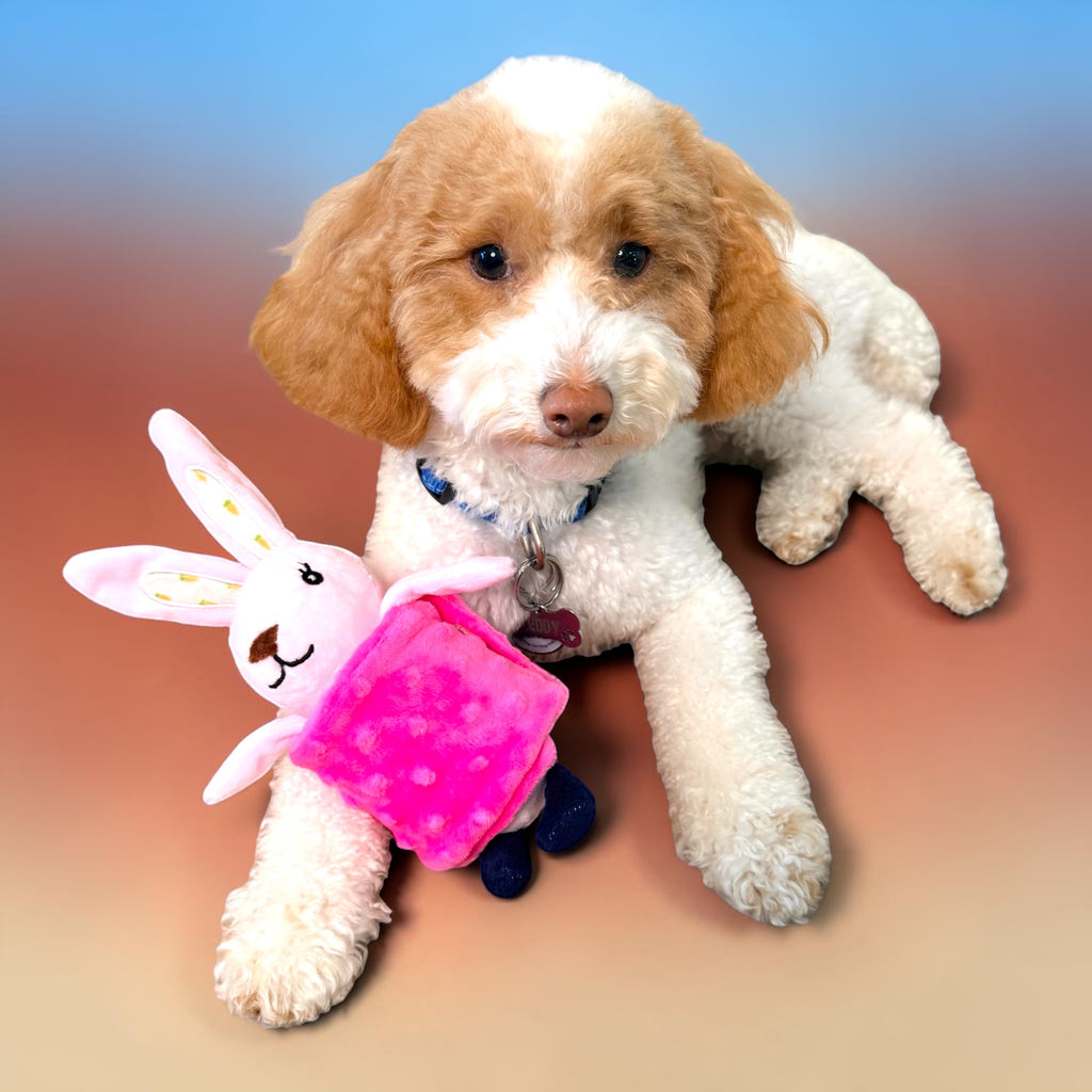 FurSniff Snuffle Wrap Bunny dog toy with pink belly wrap and squeaker, machine washable