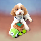 FurSniff Turtle Snuffle Treat Toy, a plush green turtle with a brown removable shell, featuring a squeaker and velcro closure.