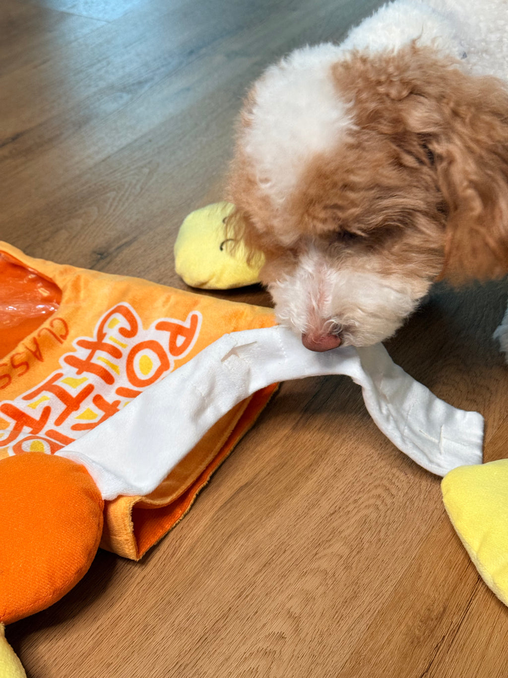 Toy Poodle -Snuffle Bag Hide and Seek -Happy Pets, Healthy Habits