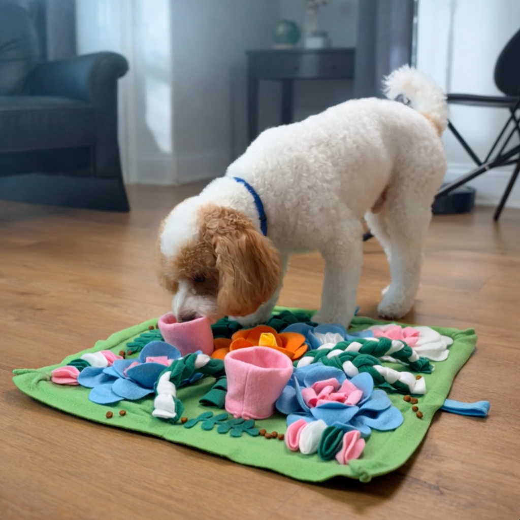 Teddy the toy poodle surrounded by FurSniff enrichment toys and snuffle mats — Happy Pets, Healthy Habits